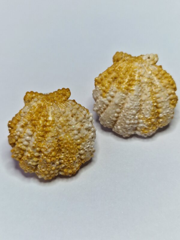 Les coquillages en clou – Image 11