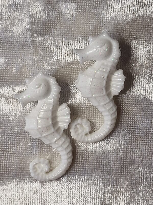 Les hippocampes – Image 2