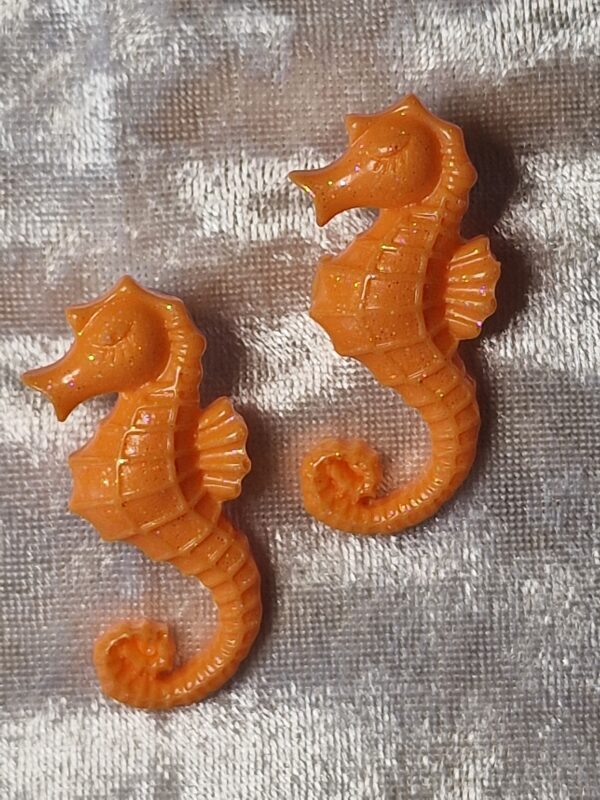 Les hippocampes – Image 4