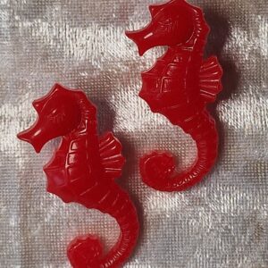 Les hippocampes