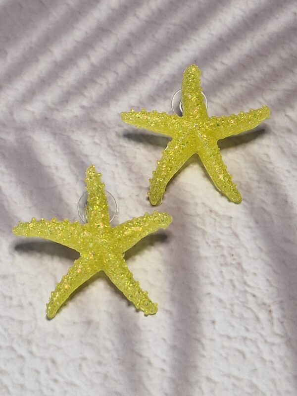 Etoiles de mer – Image 4