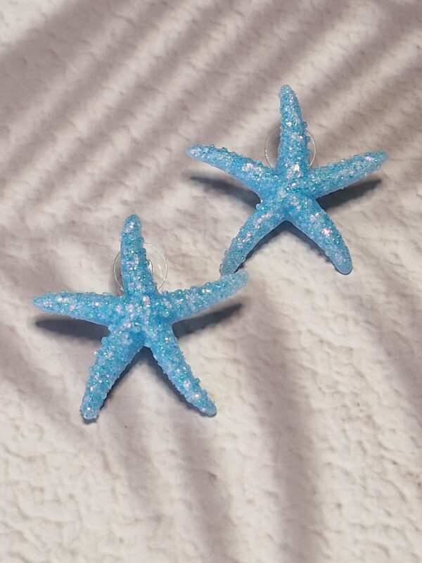 Etoiles de mer – Image 7