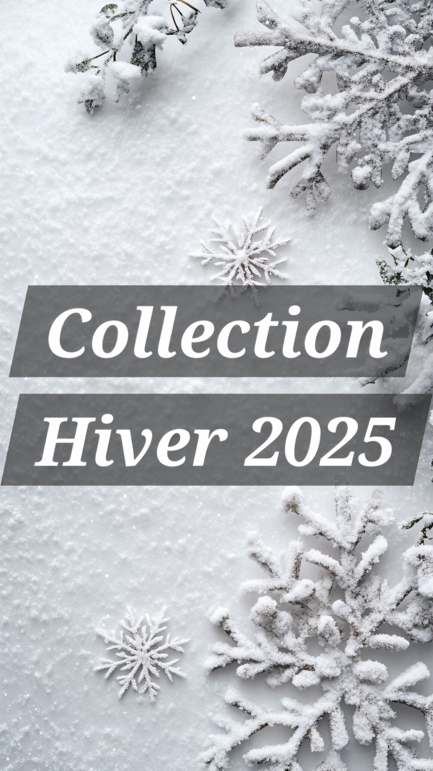 ❄️ Collection Hiver 2025 ❄️