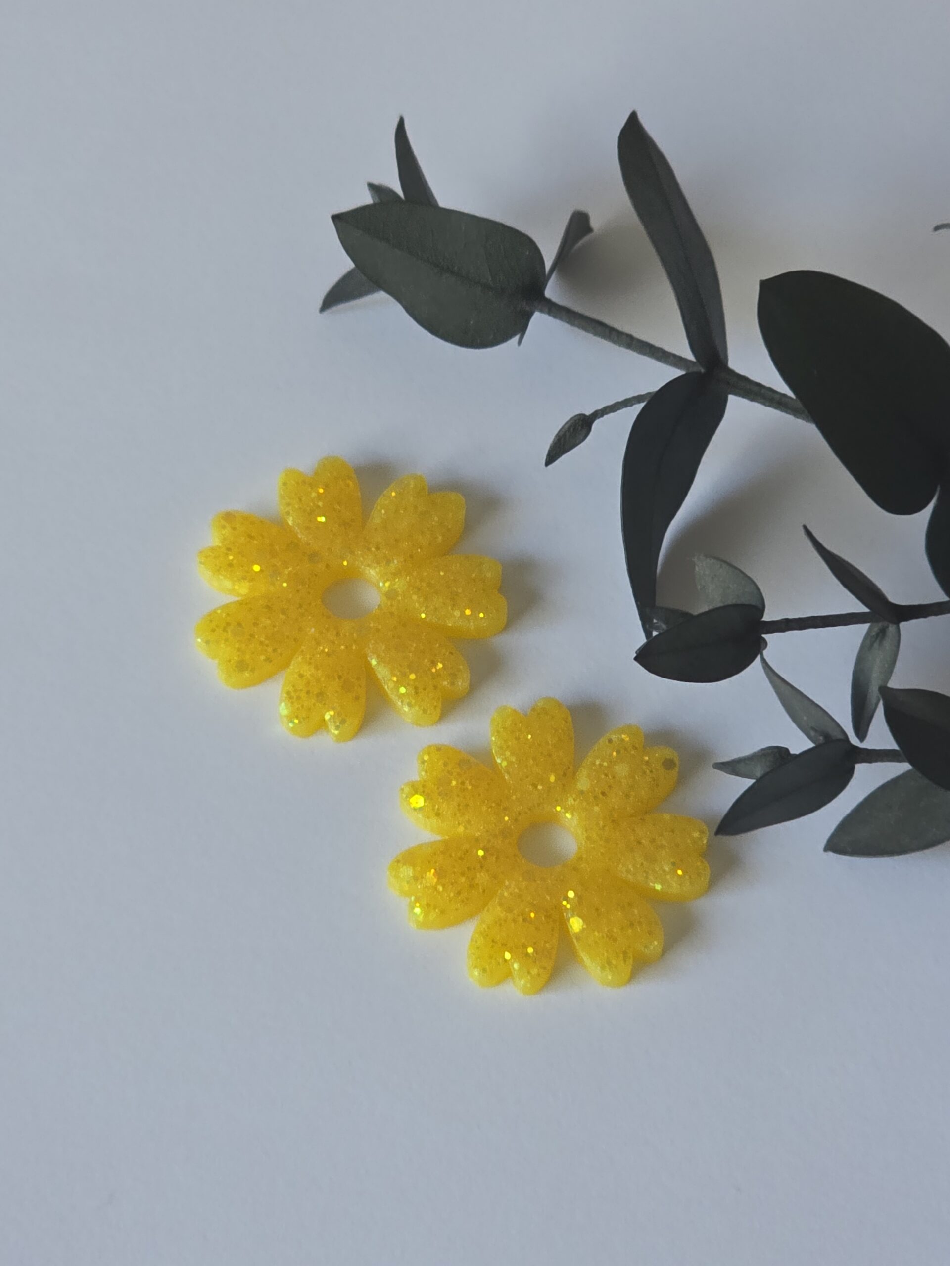 Les Pampilles 1 -2026 – Image 2