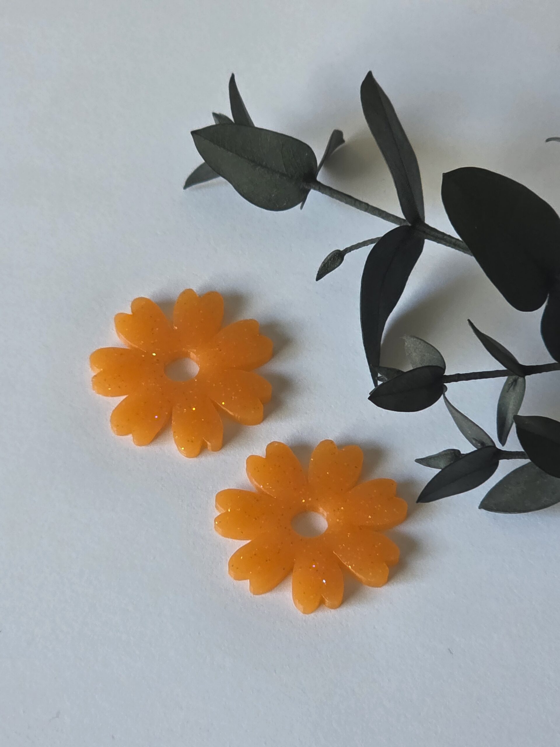 Les Pampilles 1 -2026 – Image 3