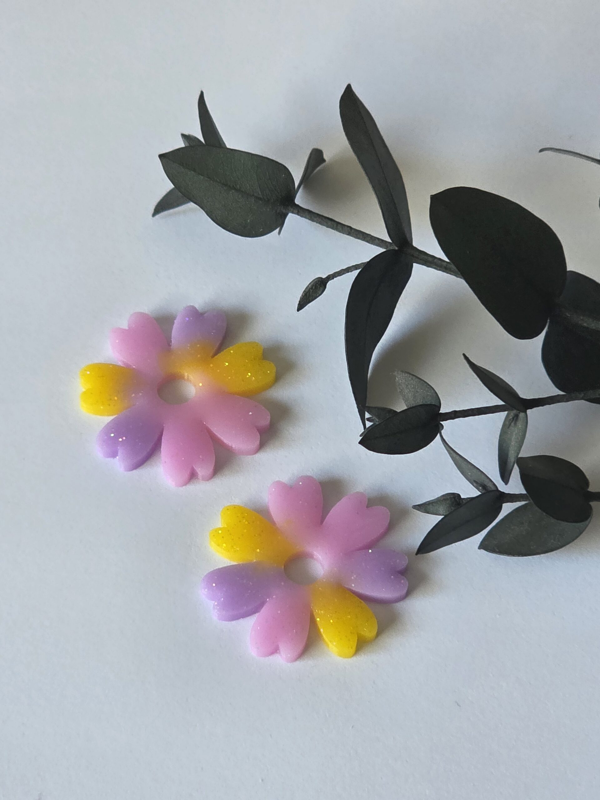 Les Pampilles 1 -2026 – Image 6