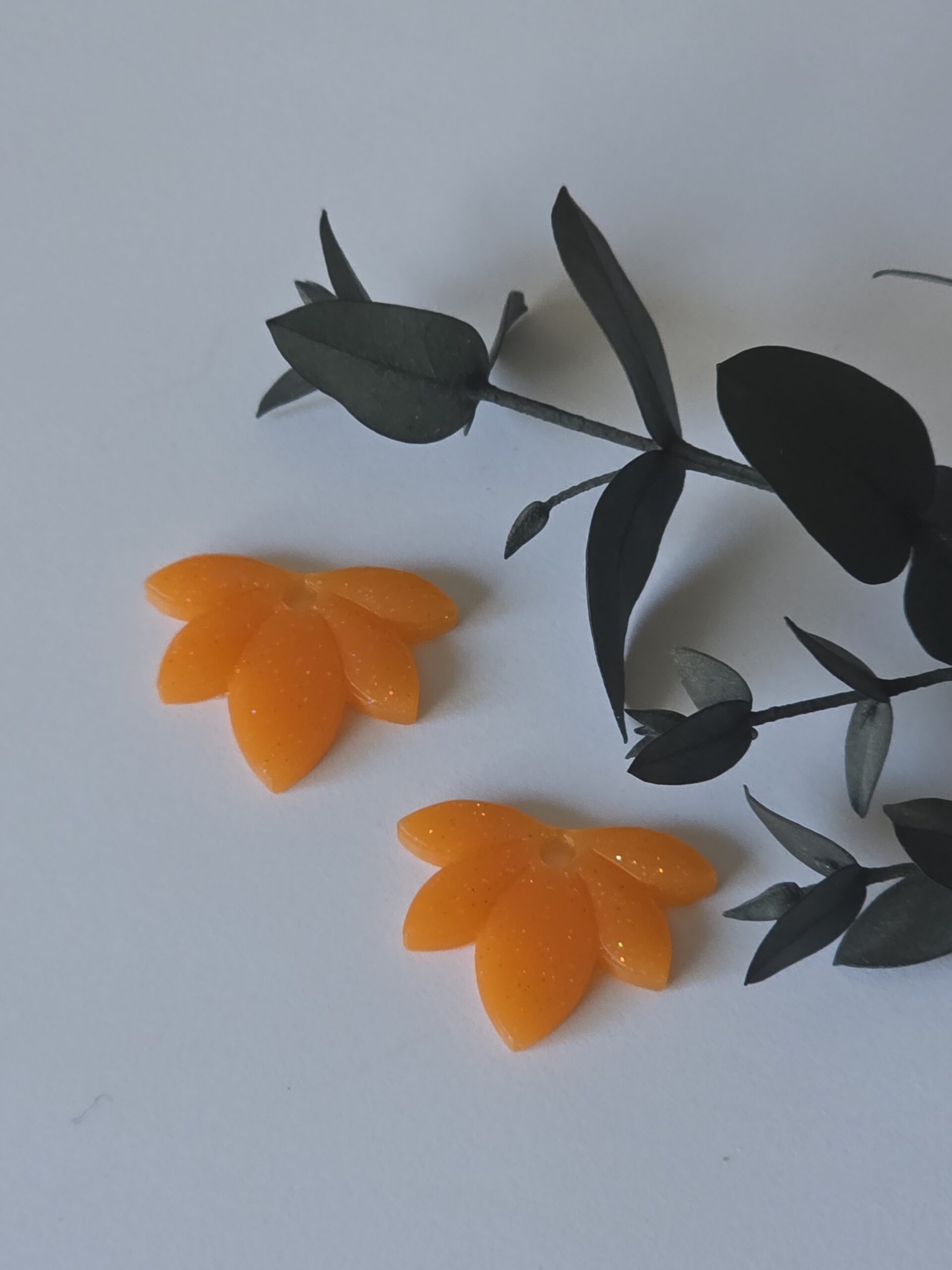 Les Pampilles 1 -2026 – Image 23