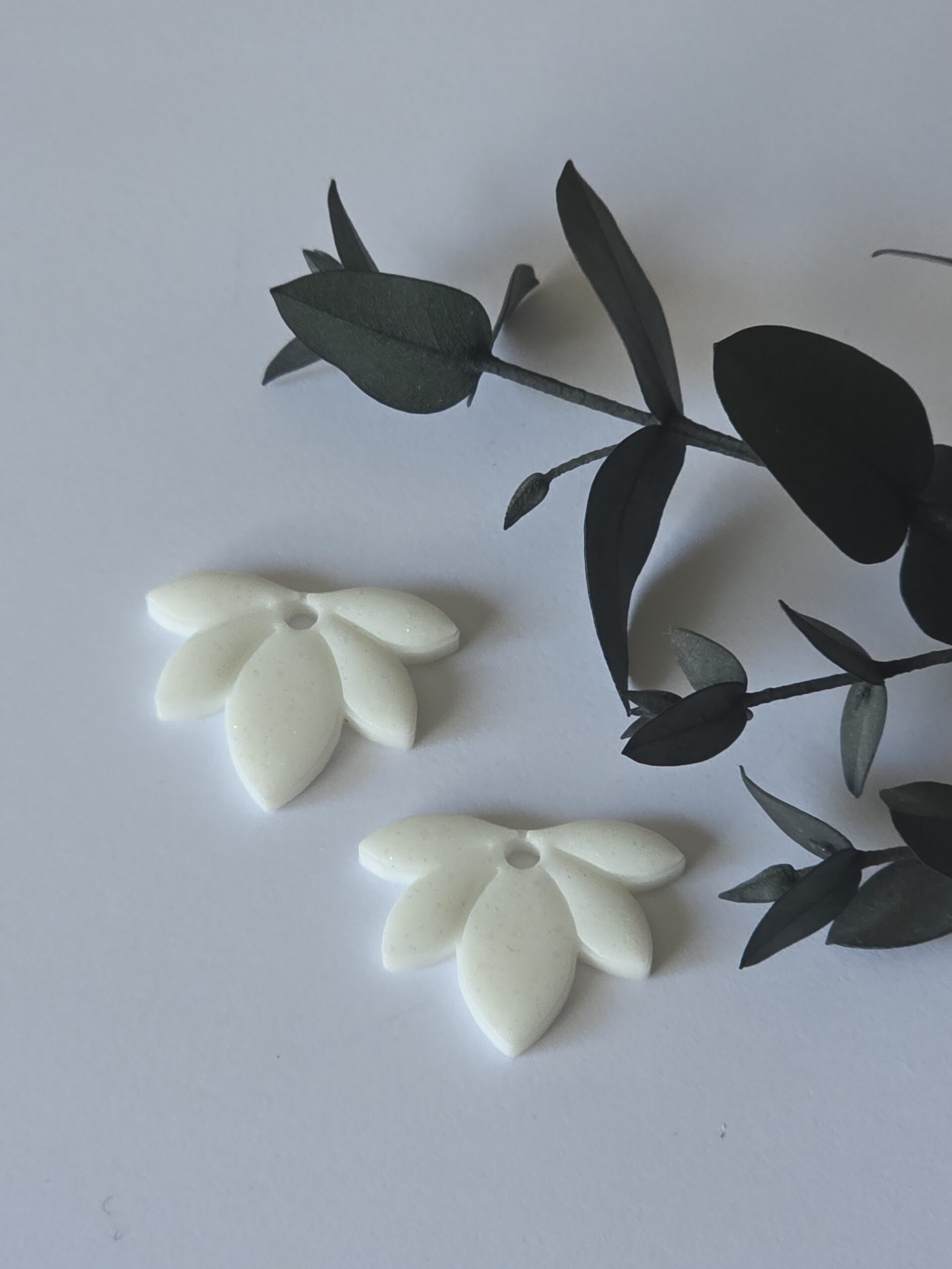 Les Pampilles 1 -2026 – Image 28