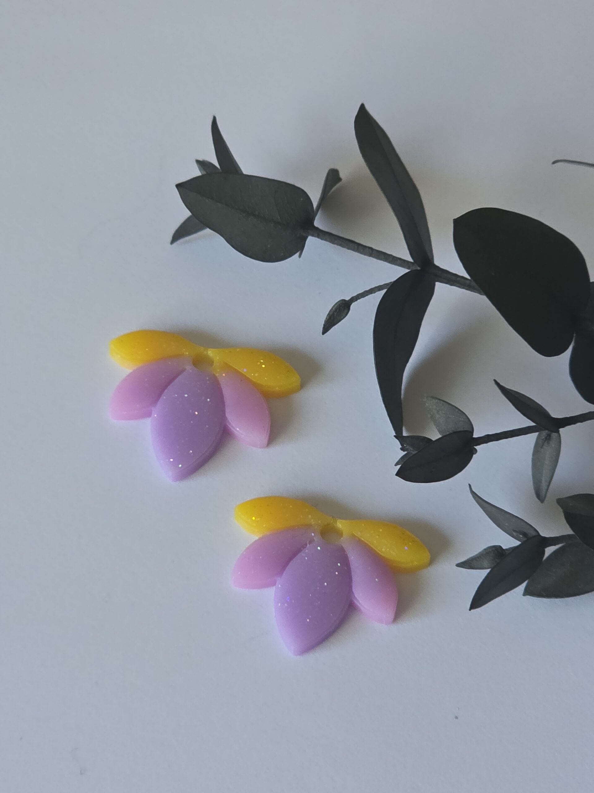 Les Pampilles 1 -2026 – Image 30