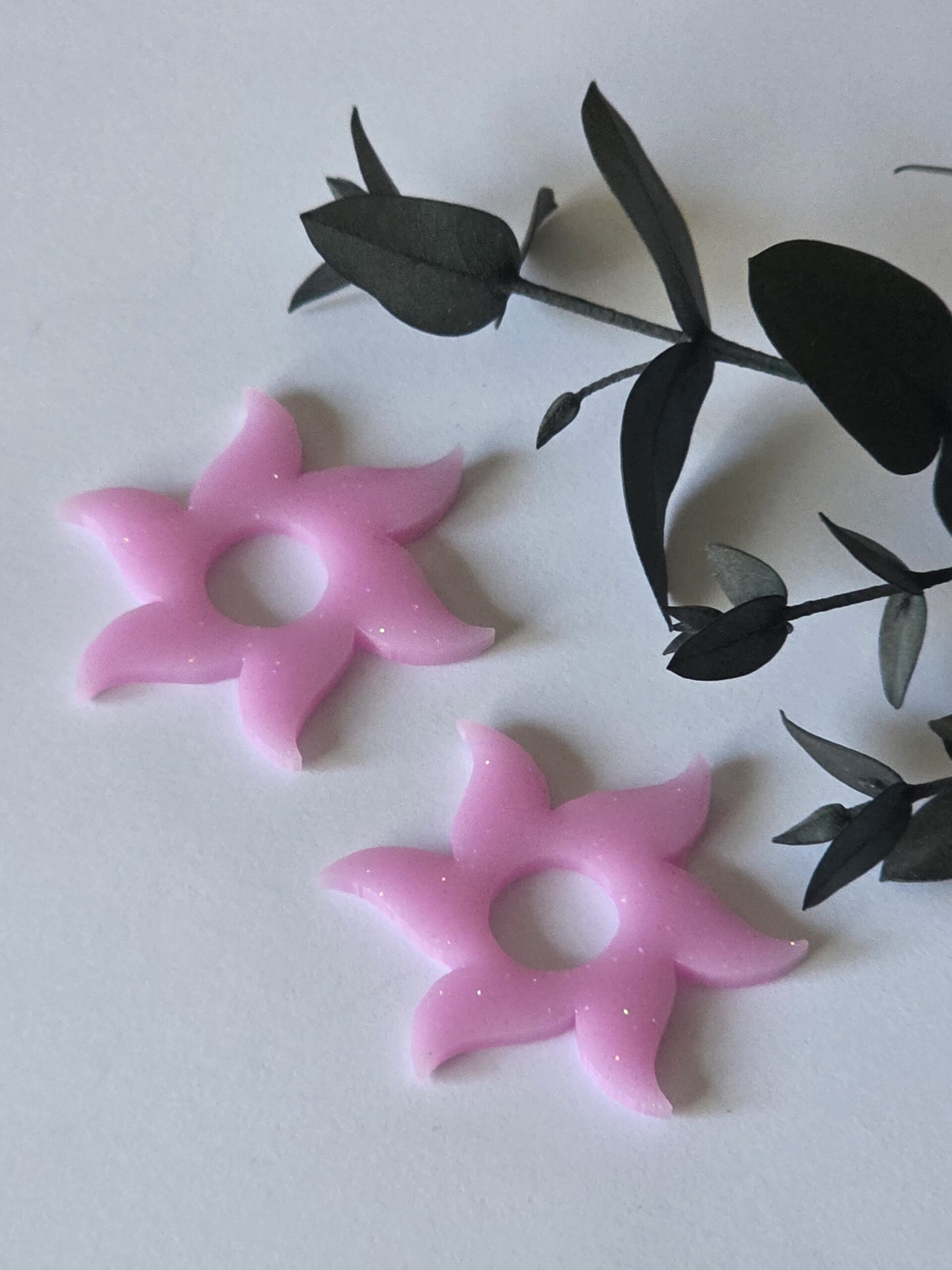 Les Pampilles 1 -2026 – Image 51