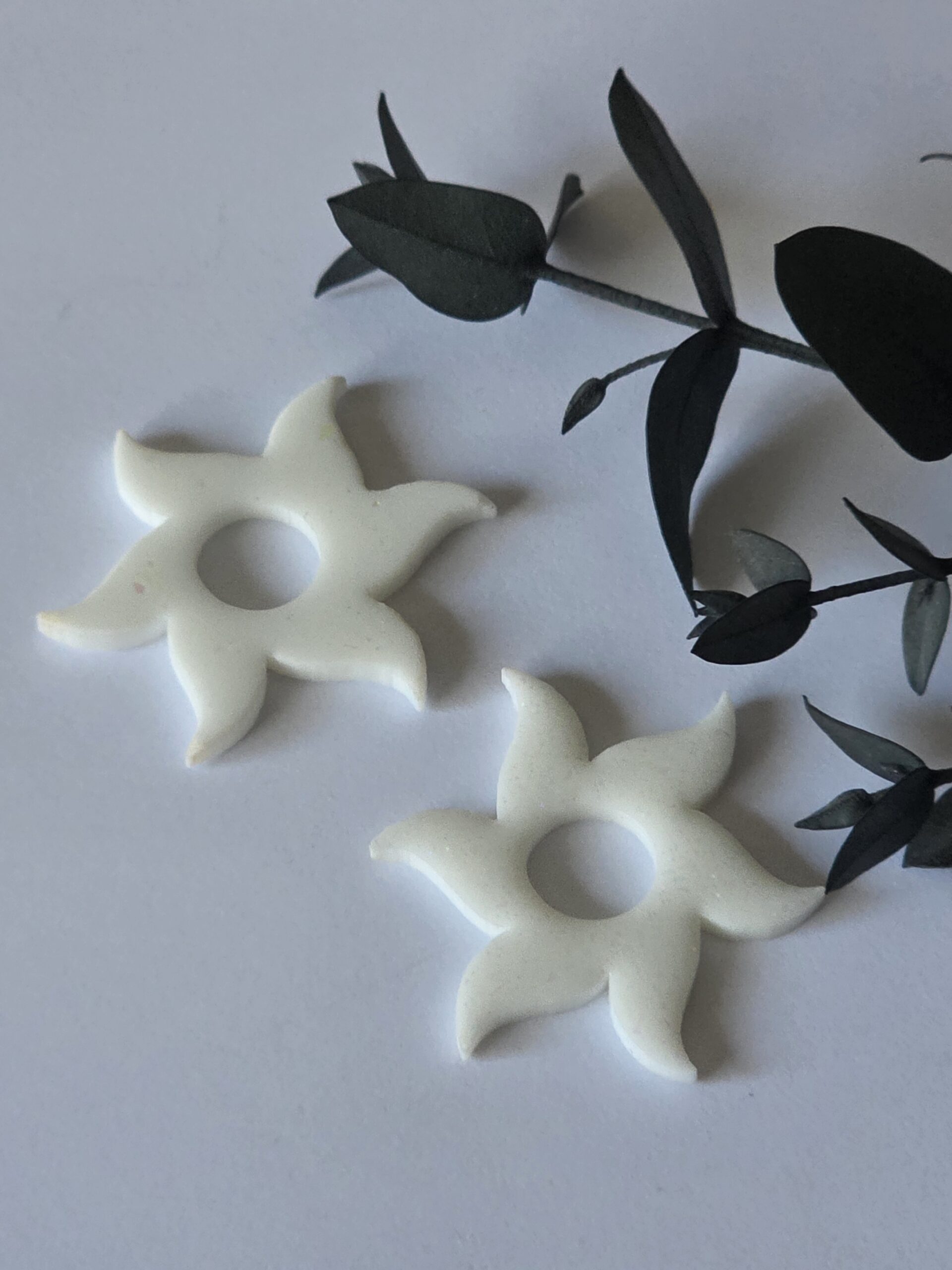 Les Pampilles 1 -2026 – Image 52